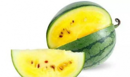 吃瓜娱乐圈素材哪里找,揭秘热门素材搜集秘籍